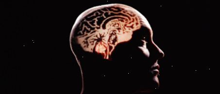Aivoihin ja hermostoon tosiasiat